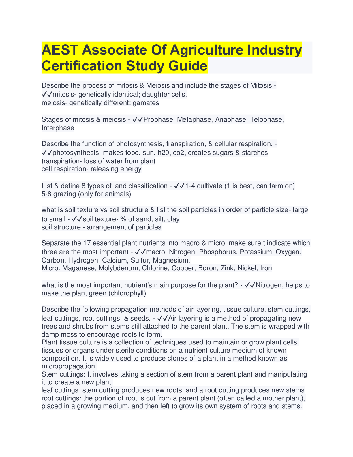 document-preview